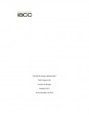 Tarea 4 “Gestión de riesgos operacionales”