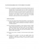 PLANTEO DE DESARROLLO DE UN NUEVO PRODUCTO “BATIMIX”