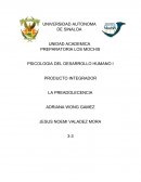 PRODUCTO INTEGRADOR LA PREADOLECENCIA