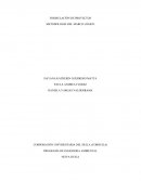 PROGRAMA DE INGENIERIA AMBIENTAL