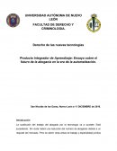 PIA DERECHO NUEVAS TECNOLOGIAS