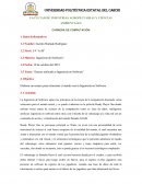 Ensayo de Ready Player One