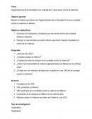 Organizaciones de la Sociedad Civil: cuántas son y qué hacen contra la violencia