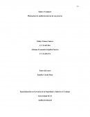 Planeación de auditoria interna de un proceso