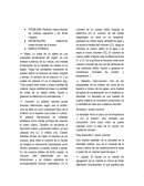 Relación masa-volumen de cuerpos pequeños y de forma irregular