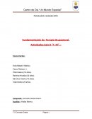 Características generales del grupo D TM