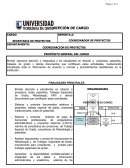 DESCRIPCION DE CARGOS. SECRETARIA DE PROYECTOS
