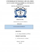 ENSAYO, CAUSALES DEL DIVORCIO