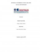 LIDER PERUANO DENTRO DE LA ORGANIZACIÒN FAMILIAR