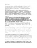 Ensayo Administración de Almacenes