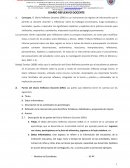 DIARIO REFLEXIVO DOCENTE