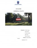 ANALISIS EMPRESA COLÚN