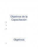 Capacitación Big Data. Objetivos de la Capacitación