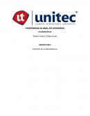 CASO LG PRANKVERTISING