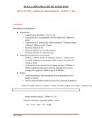 ORGANIZACIÓN DE ALMACENES