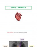 Seria Cardiaca Radiologia y Cardiopatias congenitas