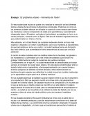 El Problema Urbano - Fernando de Terán