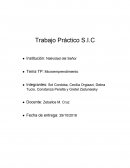 Sistema de informacion contable. Marca producto: Coco Miel