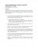 TRABAJO SOBRE NORMAS Y RIESGOS DE AUDITORÍA