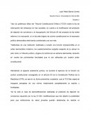 La garantía jurisdiccional de la Constitución
