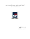 Módulo Almacenamiento, Distribución, Madejo de Producto y Despacho