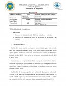 Hidrólisis de Carbohidratos