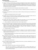 Contaminación acústica