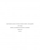 HIGIENE Y SEGURIDAD OCUPACIONAL EN MINERÍA