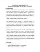 PRACTICA DE LABORATORIO N° 6 AFILADO DE HERRAMIENTAS DE CORTE Y TRAZADO