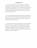 Plan de Exportación de la Pulpa de Maracuyá de la empresa ParadiseFruit a Perú