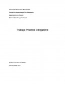 Sistema Educativo y Curriculum