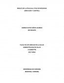 Ensayo de direccion y control