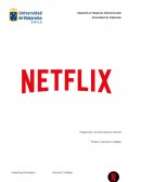 Informe marketing netflix