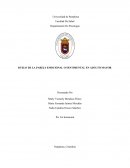 DUELO DE LA PAREJA EMOCIONAL O SENTIMENTAL EN ADULTO MAYOR