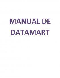 MANUAL DE DATAMART. Página 1