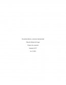 Economía abierta y comercio internacional