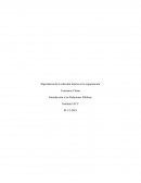 Importancia de la cohesión interna en la organización