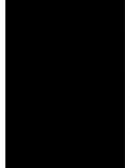 Mapa de sistemas de una empresa