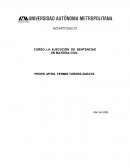 Ejecución de sentencias en materia civil