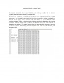 INFORME TECNICO – SUMMIT FRUIT