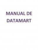 MANUAL DE DATAMART
