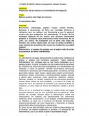 Protección de las manos en la actividad de montajes