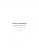 Principios de la Electricidad. Seguridad Eléctrica