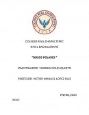 ¿Cuál es la importancia del saber la forma de hábitat sobre los osos polares?