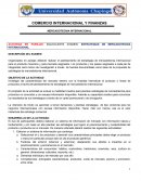 Actividad en parejas: equivalente examen: Estrategias de mercadotecnia internacional