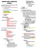 GRANDES VASOS Y NERVIOS DEL ABDOMEN
