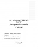 Calidad apícola: 5 S y Seis Sigma