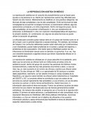 Reproduccion asistida en México