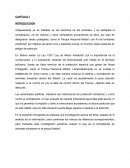 Trata y trafico de animales silvestres en Bolivia