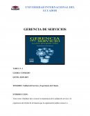 Calidad del Servicio y Experiencia del Cliente